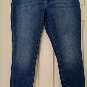 INC International Concepts Blue Skinny Jeans